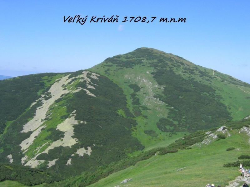 Apartman U Mareka Sucany Buitenkant foto